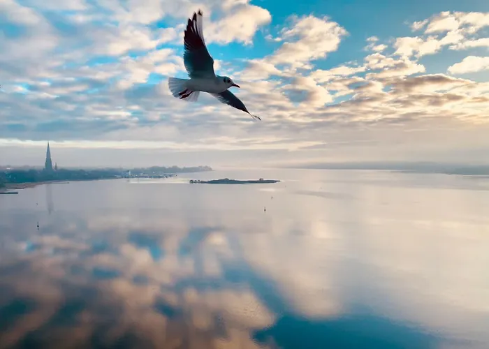 Panoramablick Ostseefjord Schlei Lägenhet